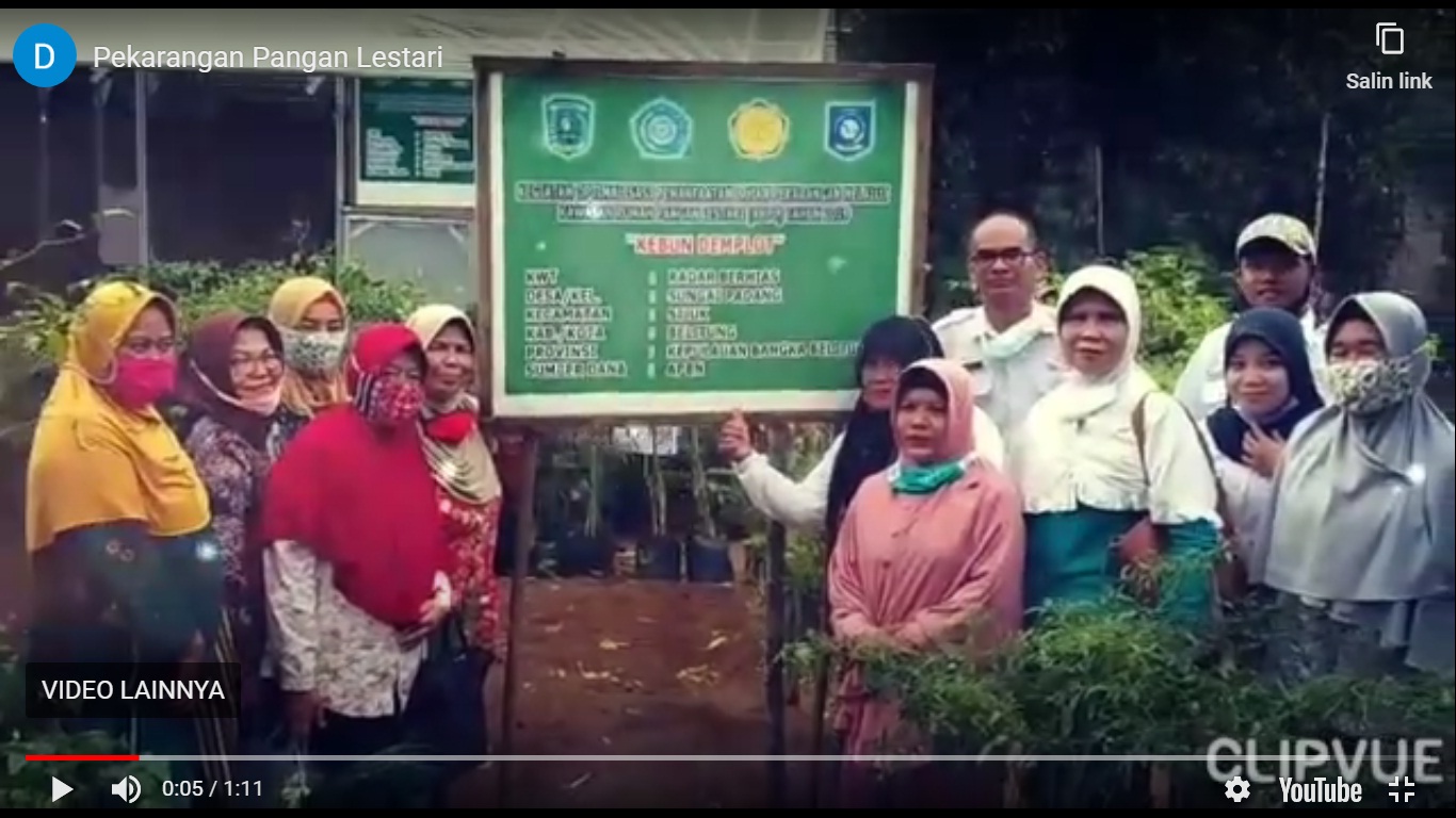 Pekarangan Pangan Lestari KWT Radar Berhias Sungai Padang