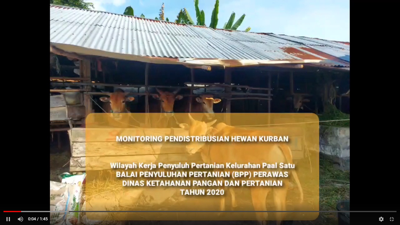 MONITORING PENDISTRIBUSIAN HEWAN KURBAN