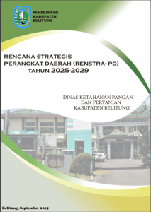 cover_renstra_dkpp_2025-2029